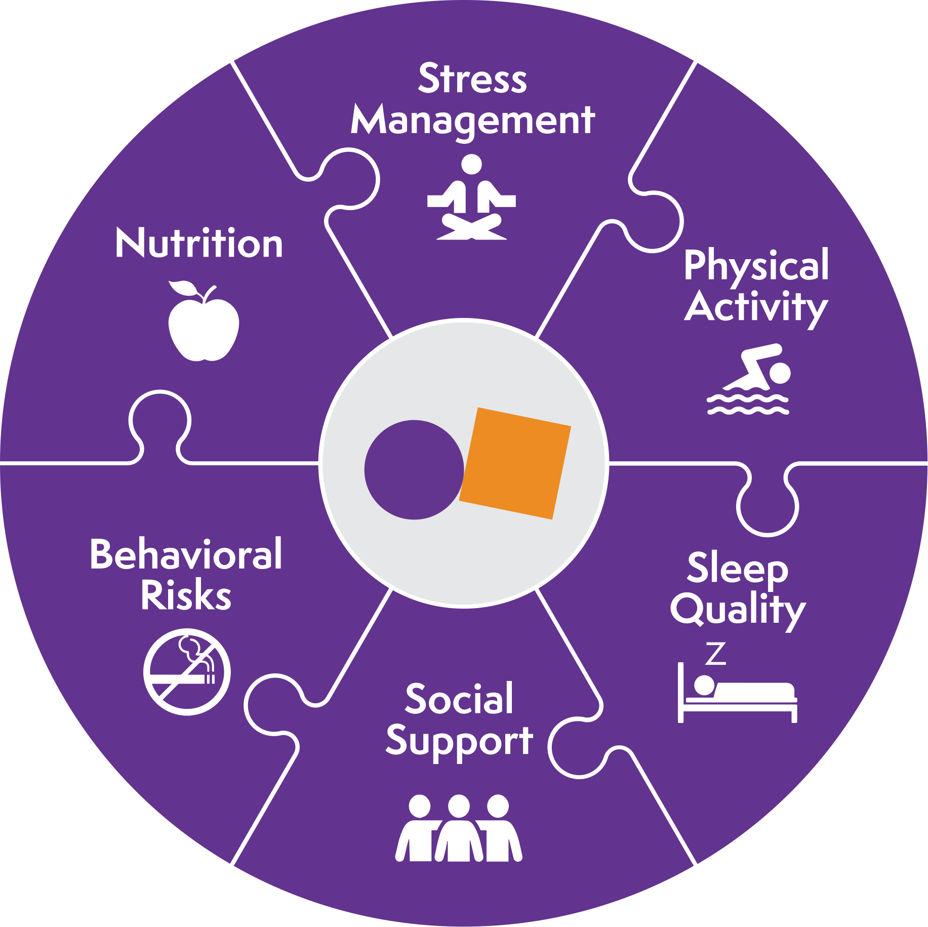 The Nudj program: nutrition, stress management, physical activity, sleep quality, social support and behavioral risks